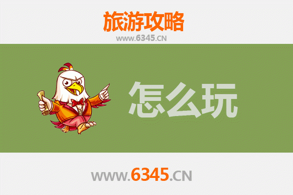 建宁假日旅游全攻略：金铙山花海与红色文化之旅